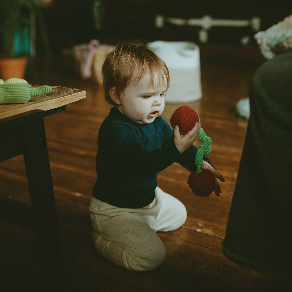 Pretend Play Food Rattle - Cherry - Harmony