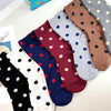 Women's Crew Special Dot Socks - Harmony