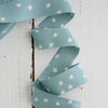 2.5" Bias Quilt Binding / Starry Soft Blue - Harmony