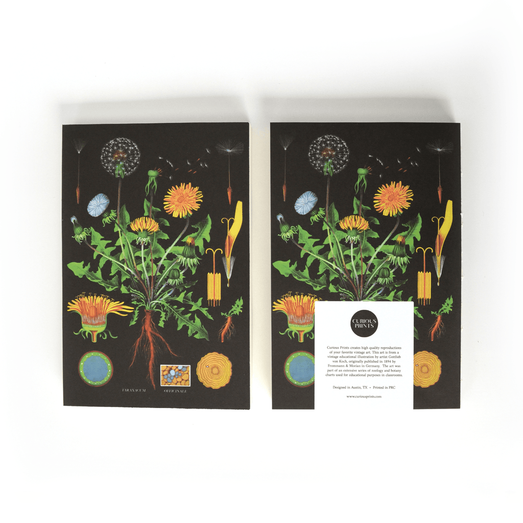 Vintage Botanical Dandelion Exposed Coptic Binding Notebook - Harmony