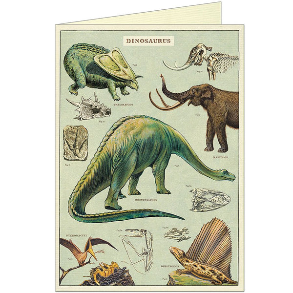 Dinosaurs Greeting Card - Harmony
