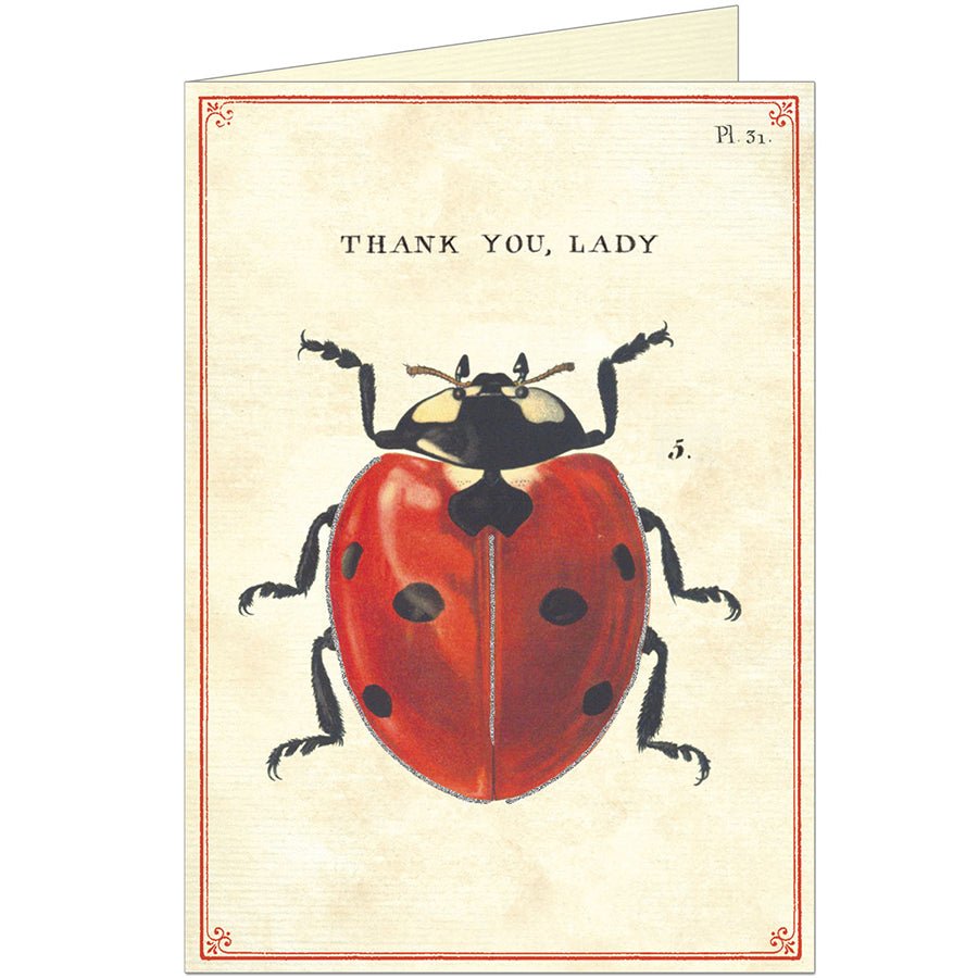 Thank You Lady Greeting Card - Harmony