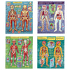 Human Anatomy 4 Puzzle Set - Harmony