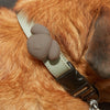 Kobe Dog Tag - Harmony