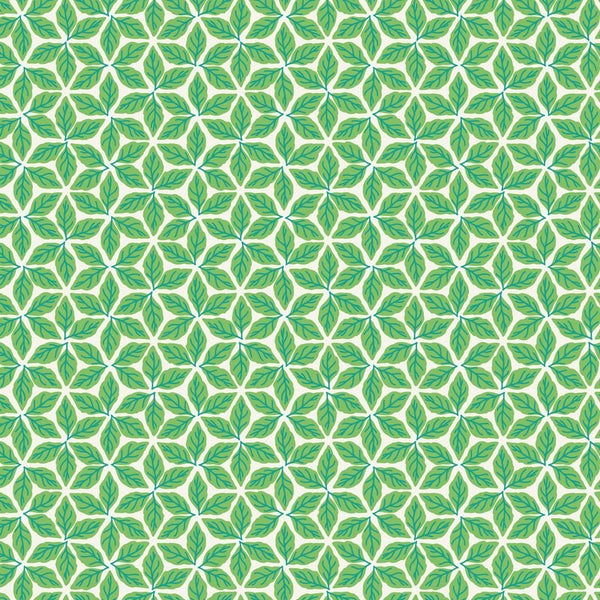 Vine Ripened / Sweet Basil / Green - Harmony