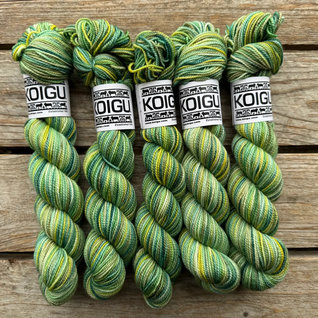 Koigu KPPPM 50g / P514 - Harmony