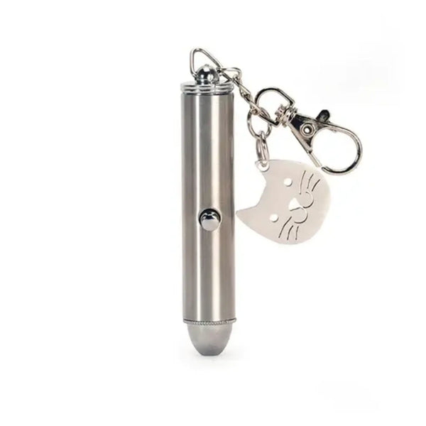 Rechargeable Laser Pointer Keychain - Harmony