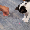Rechargeable Laser Pointer Keychain - Harmony
