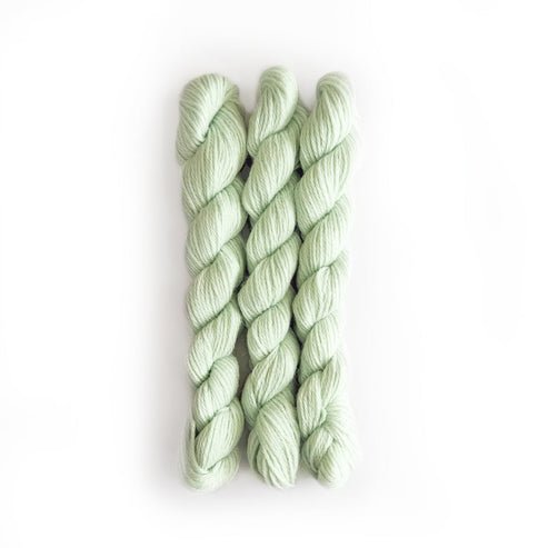 Perennial Minis / 385 Sea Spray - Harmony