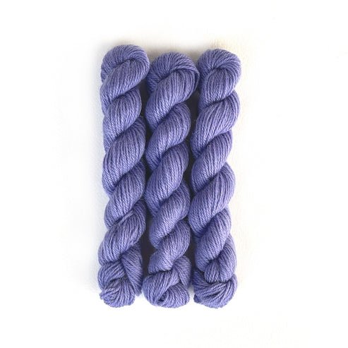Perennial Minis / 550 Cornflower - Harmony
