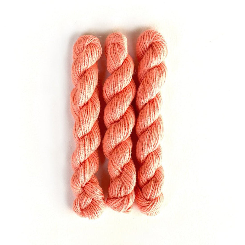 Perennial Minis / 865 Cantaloupe - Harmony