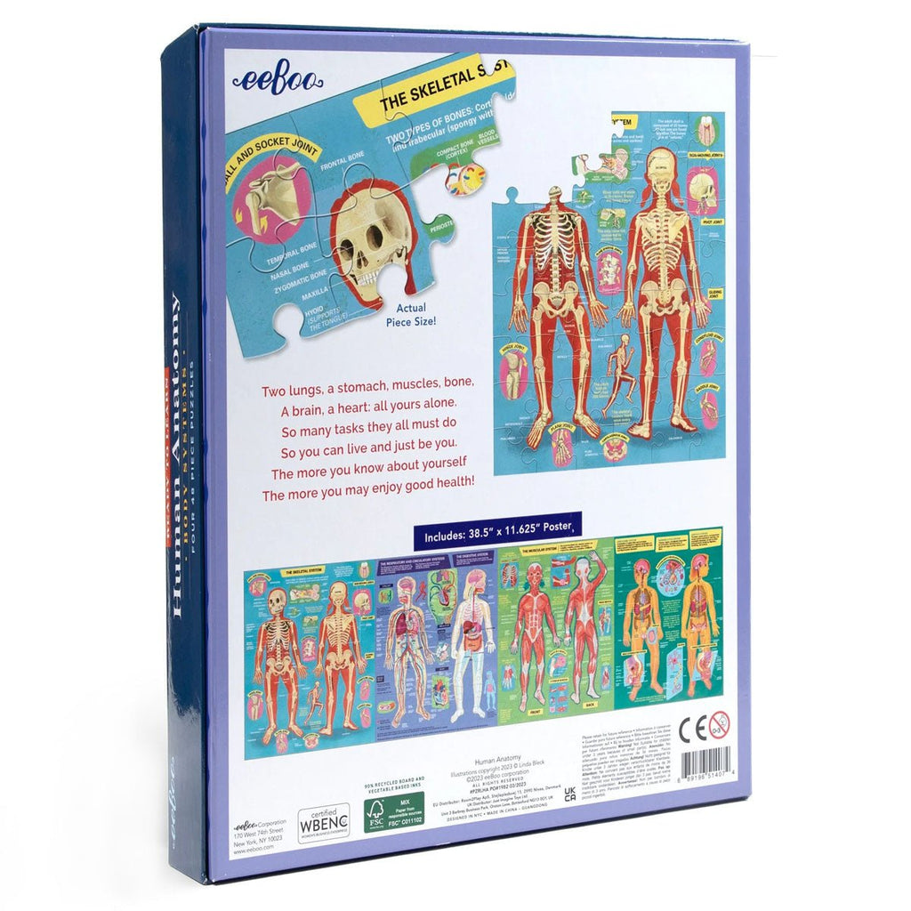 Human Anatomy 4 Puzzle Set - Harmony