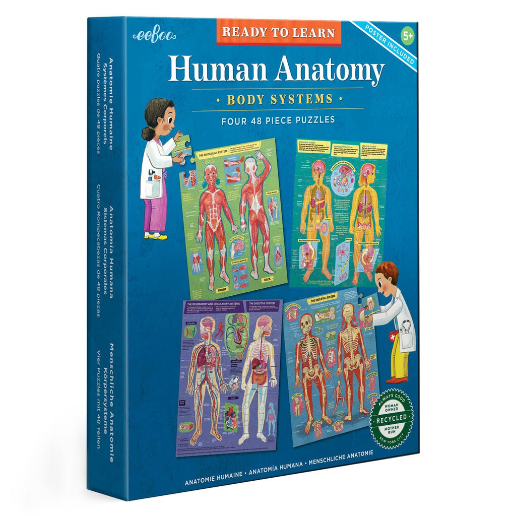 Human Anatomy 4 Puzzle Set - Harmony