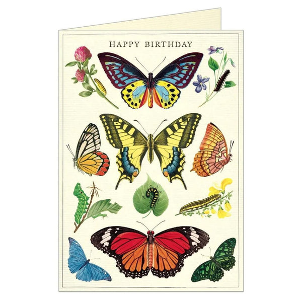 Happy Birthday Butterflies Card - Harmony