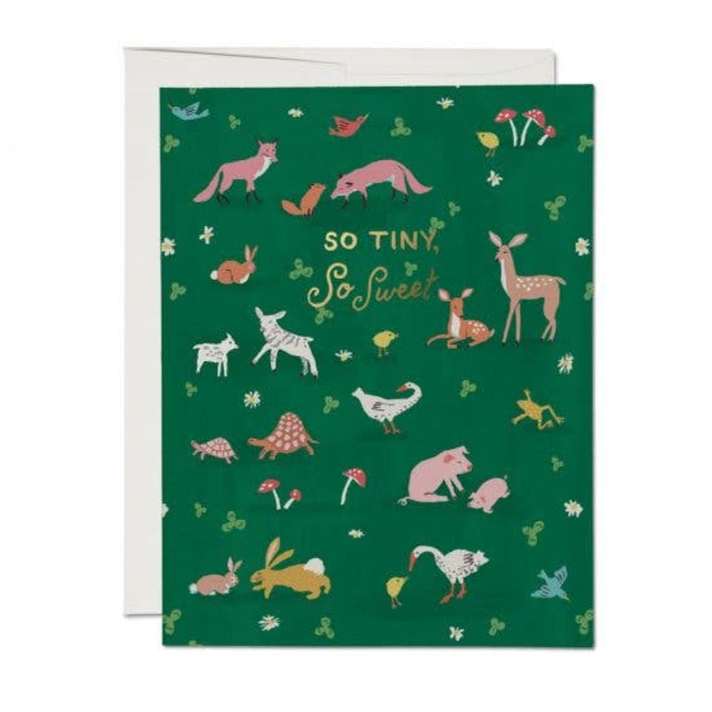 Tiny Animals Baby Card - Harmony